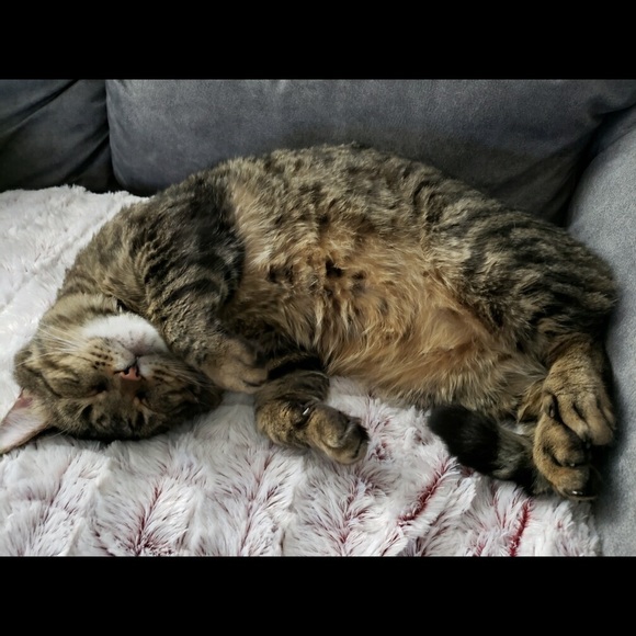 Muggles - Picture 6 of 6